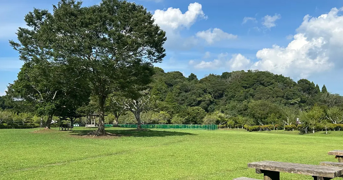 千葉県立大多喜県民の森